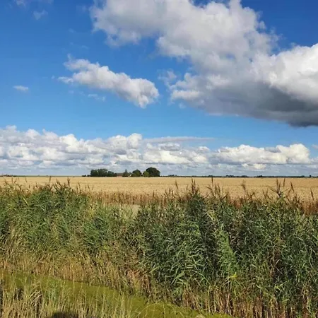 By Water Near Rotterdam