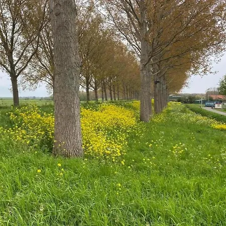 By Water Near Rotterdam