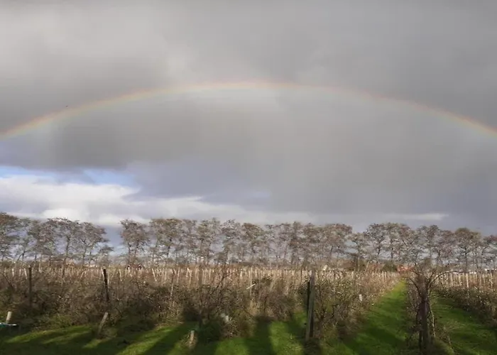 By Water Near Rotterdam *