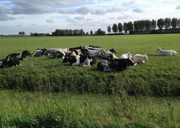Сasa de vacaciones By Water Near Rotterdam Simonshaven