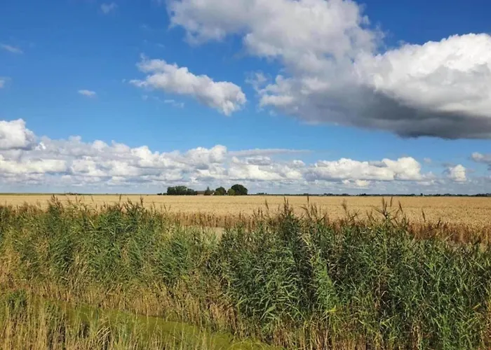 By Water Near Rotterdam