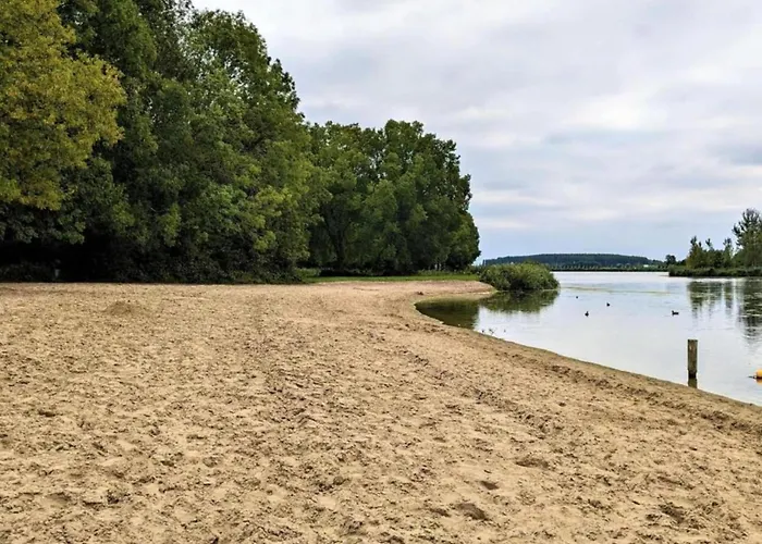 By Water Near Rotterdam
