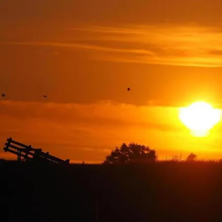 By Water Near Rotterdam Semesterbostad Simonshaven