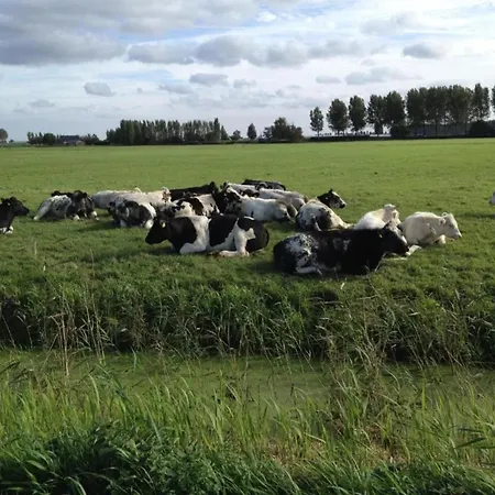 Semesterbostad By Water Near Rotterdam Simonshaven