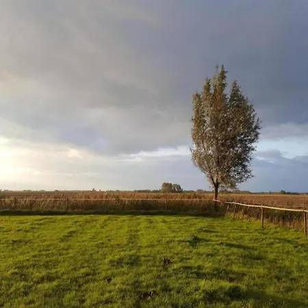 By Water Near Rotterdam Semesterbostad *